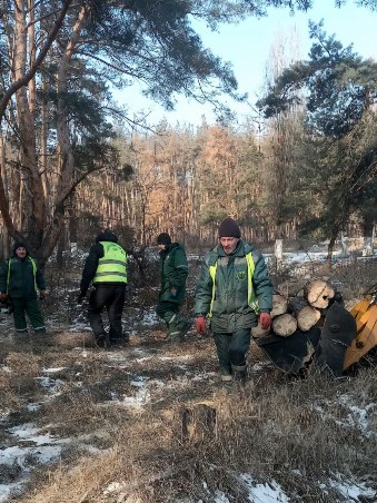 Новини Харкова: у Григорівському бору прибрали аварійні дерева